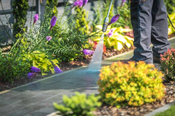 Best Boat and Dock Cleaning  in Fairview, NY
